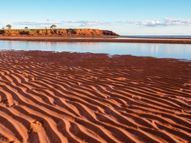 Beach at Canoe Cove at low tide in summer